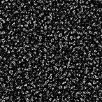 Hidden in noise, noise number #0347