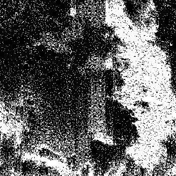 Hidden in noise, noise number #0356