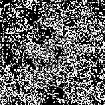 Hidden in noise, noise number #0515