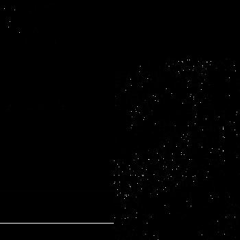 Hidden in noise, noise number #0568