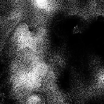 Hidden in noise, noise number #0633