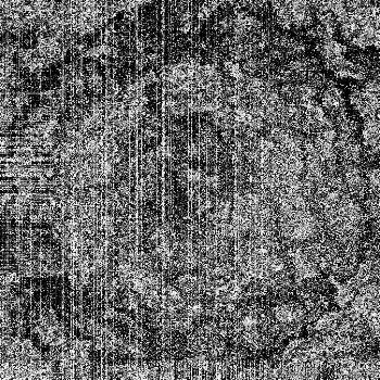 Hidden in noise, noise number #0755