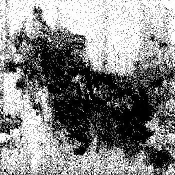 Hidden in noise, noise number #0807