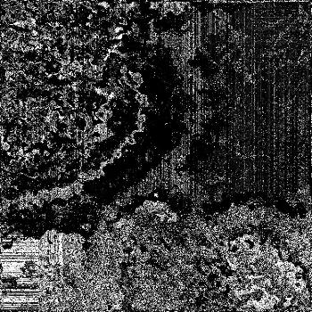 Hidden in noise, noise number #0811