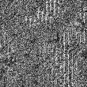 Hidden in noise, noise number #0863