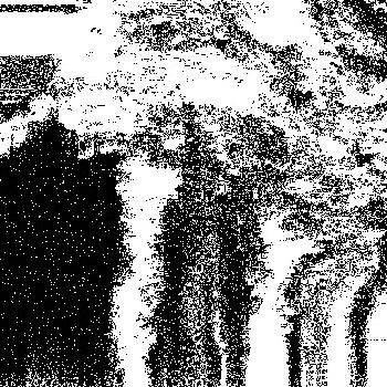 Hidden in noise, noise number #0898