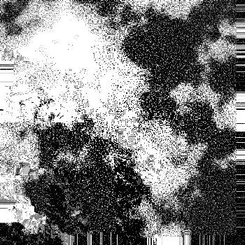 Hidden in noise, noise number #0957