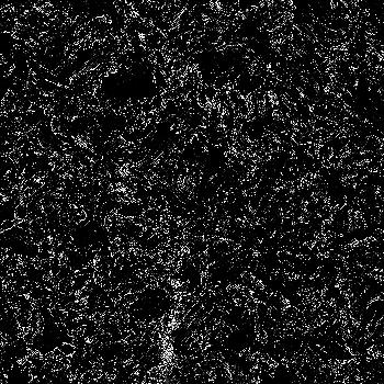 Hidden in noise, noise number #0973