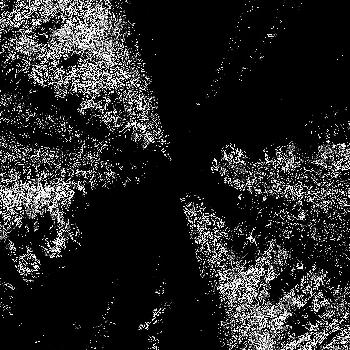 Hidden in noise, noise number #0988